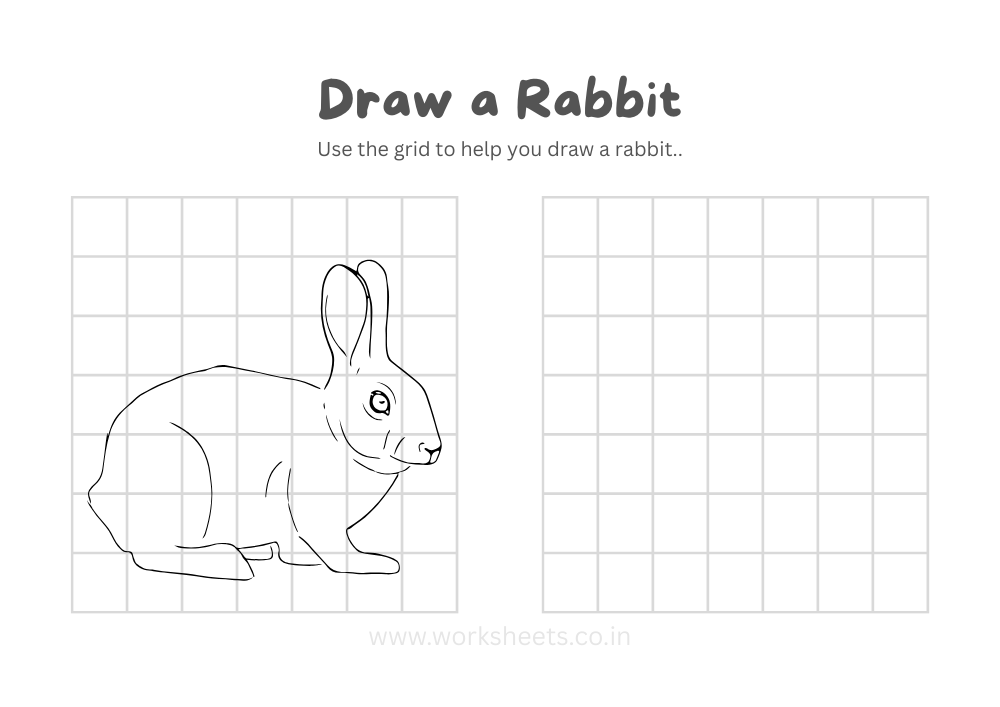 How to Draw a Rabbit Worksheet