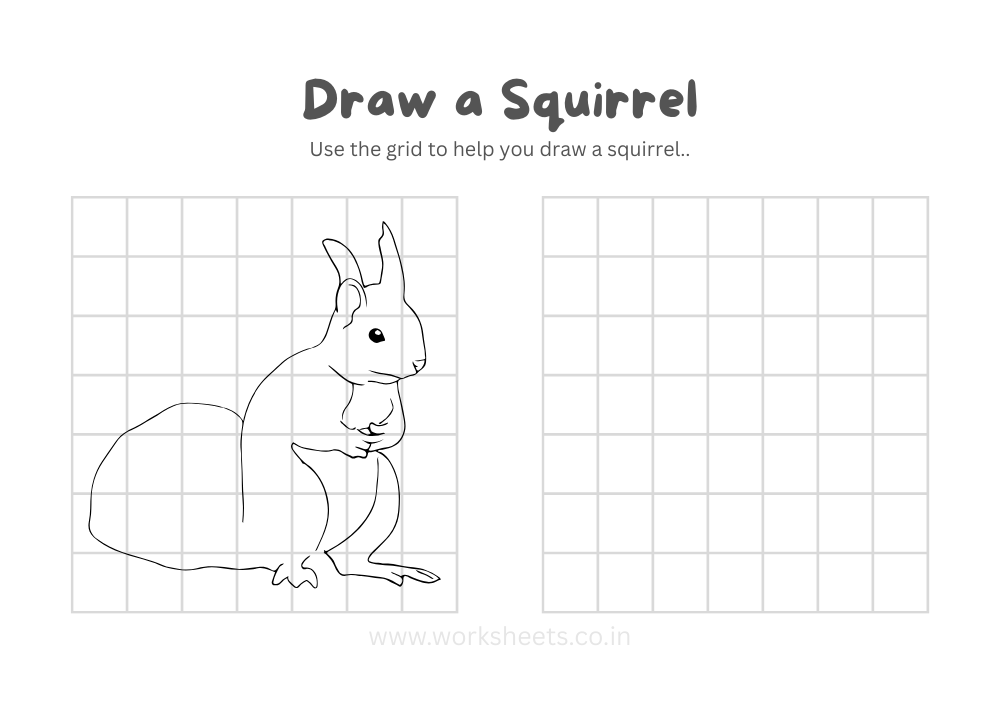 How to Draw a Squirrel Worksheet